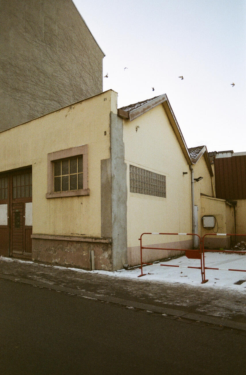 ricoh-snow2