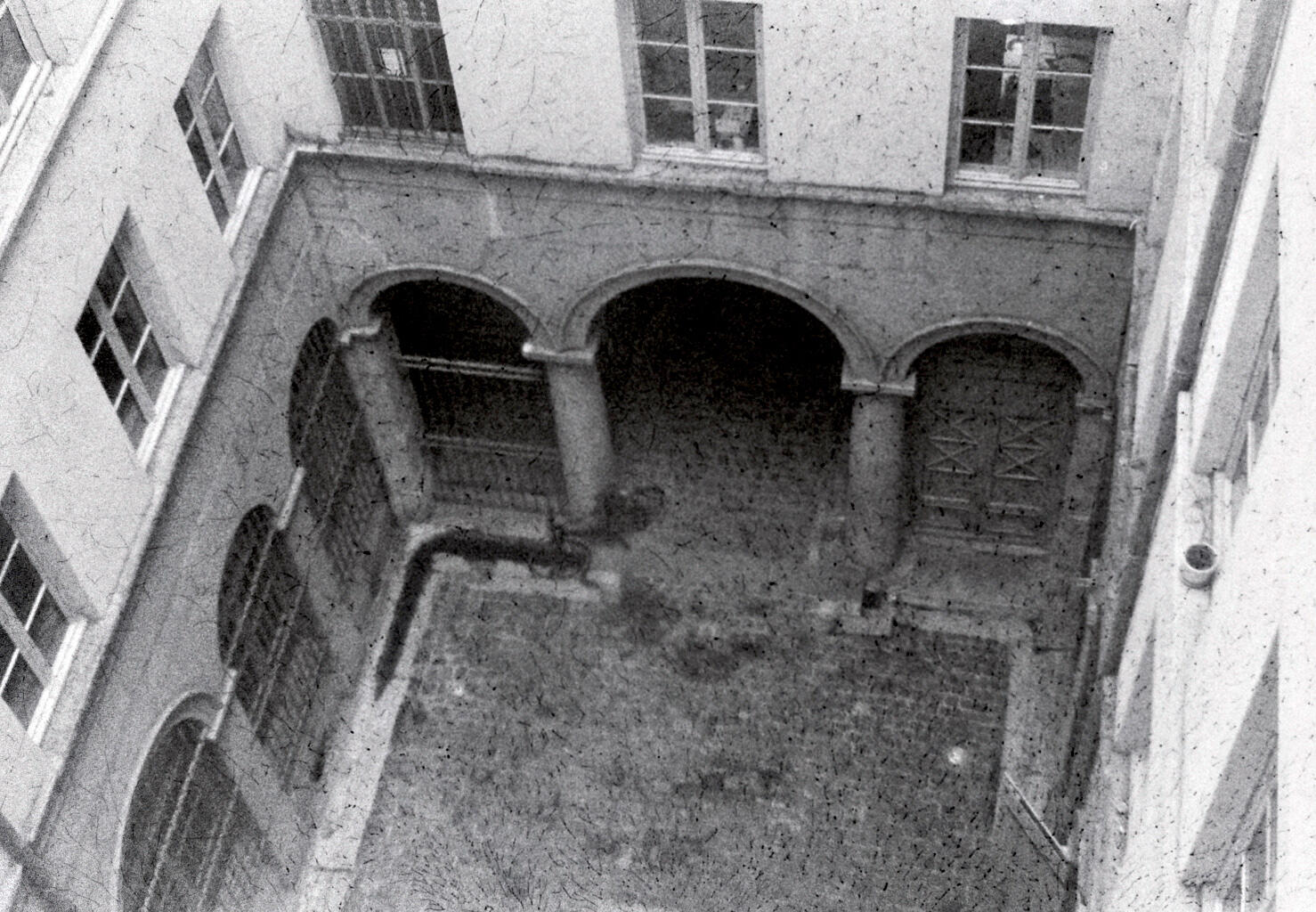 lyon-ilford